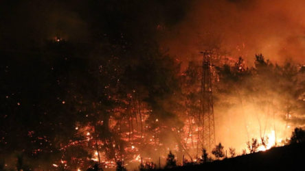 Kocaeli'deki orman yangınına çevre temizliği yapan yurttaş sebebiyet vermiş