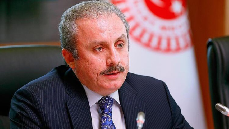 TBMM Başkanı Şentop’tan Hayvan hakları Kanunu açıklaması: Önemli bir aşama kaydedildi