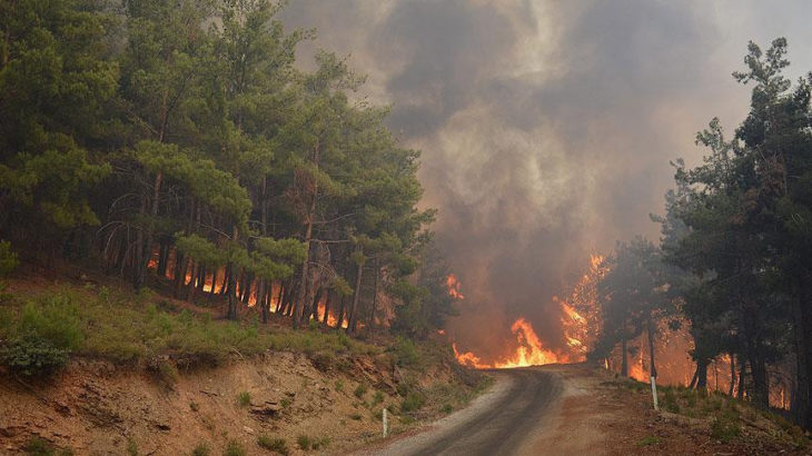 İzmir'in Karşıyaka ilçesindeki ormanlık alanda yangın çıktı