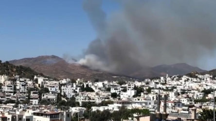 Bodrum'da yangın: Alevler yerleşim yerlerine ilerliyor