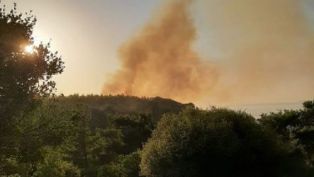Çanakkale'nin Ezine ilçesinde yangın çıktı