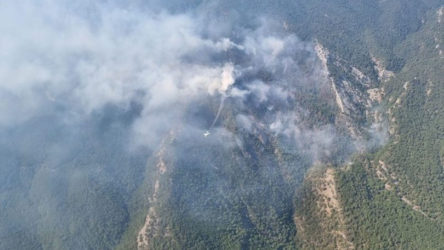 Kazdağları'nda çıkan yangın devam ediyor