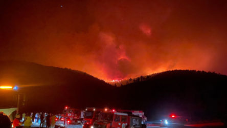 Manavgat'taki yangının ormanlarda yaptığı tahribat haritalandırıldı: Yüzey sıcaklığı 95 derece