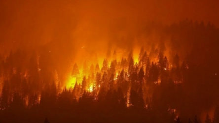 Manavgat'tan sonra Kaş'ta da orman yangını