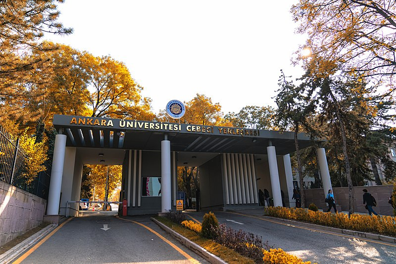 Ankara Üniversitesi olmayan şoföre 55 bin 410 TL harcanmış!