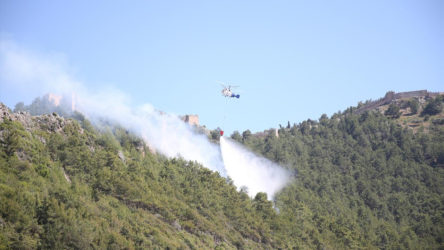 Antalya'nın Alanya ilçesinde ormanlık alanda yangın çıktı