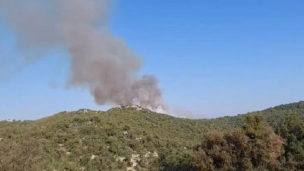 Antalya'da orman yangını: Alevler yerleşim yerine yaklaştı