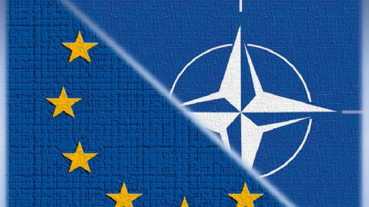 Almanya'dan NATO'ya sert eleştiriler: İnsan haklarının gözetilmesi işimiz mi?