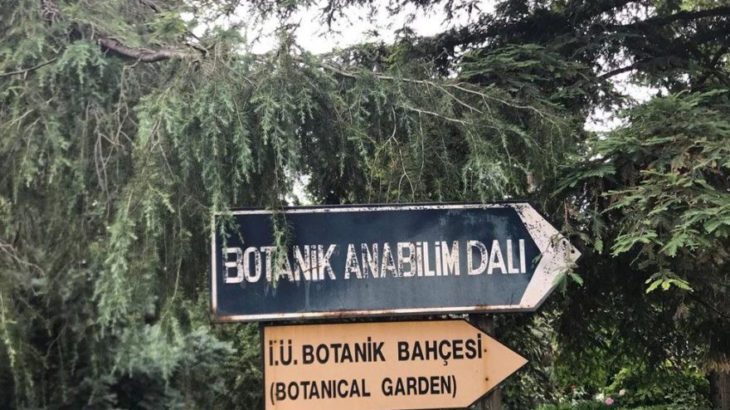 Diyanet'e devredilen botanik bahçe bakımsızlıktan kurudu