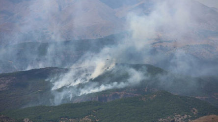 Dersim'de orman yangınları: AKP seyrediyor