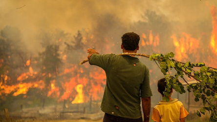 Hatay'daki orman yangınları ile ilgili iki sanığa 'orman yakmaya teşebbüs' suçundan hapis cezası