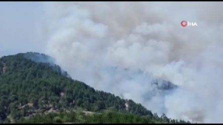 Köyceğiz yangını Denizli sınırına dayandı