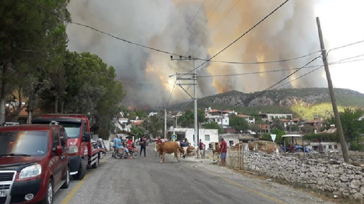 Milas'ta yangın yerleşim bölgesine ulaştı, Gökbel Köyü boşaltıldı