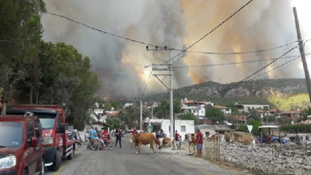 Milas'ta yangın yerleşim bölgesine ulaştı, Gökbel Köyü boşaltıldı