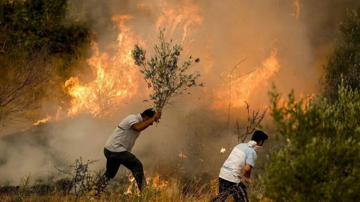 Pakdemirli: Antalya, Mersin ve Bodrum'daki yangınlar kontrol altına alındı
