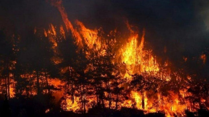 Bakan Pakdemirli orman yangınlarındaki son durumu açıkladı