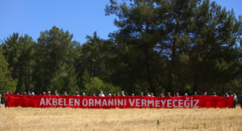 ‘Akbelen Direnişi’nden hukuki zafer: Danıştay, yerel mahkemenin kararını bozdu