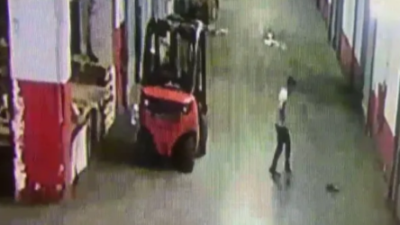 Yavru kediyi tekmeleyerek öldüren esnaf gözaltına alındı