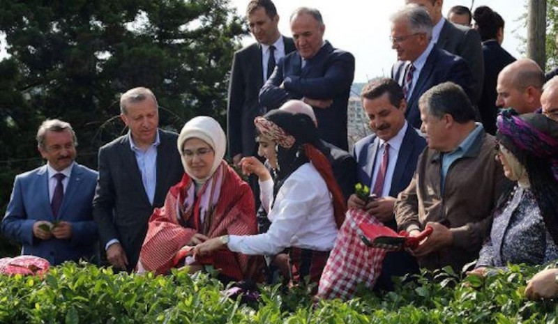 Cemil Çiçek'ten 'Erdoğan'lı yargı eleştirisi: Çay toplamaya, zeytin toplamaya bile gidiyorlar