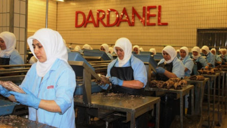 Pandemide cirosunu yüzde 96 arttıran Dardanel'de işçiler sömürü koşullarını anlattı