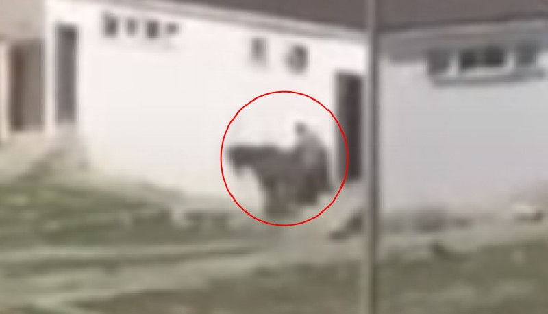 Sakarya’da ata cinsel istismar iddiası: Gözaltına alındı
