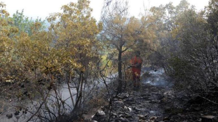 Antalya’da 5 hektar orman yandı