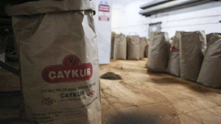 ÇAYKUR'da 503 milyon TL zarar