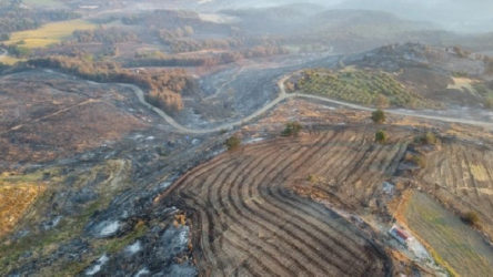 Çanakkale'deki yangının hasarı havadan görüntülendi