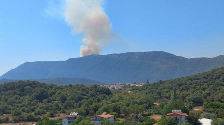 Kaş'taki yangında 2,5 hektar alan zarar gördü