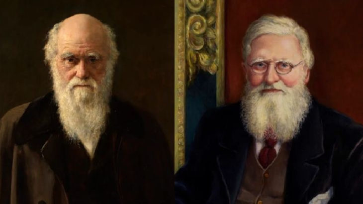 Darwin kuramı mı, yoksa Darwin-Wallace kuramı mı?