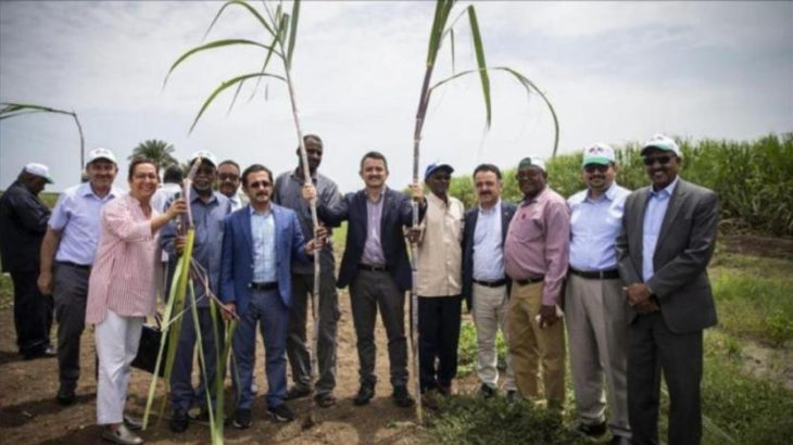 AKP'nin Sudan'daki tarım macerası: Şirket tasfiye edildi