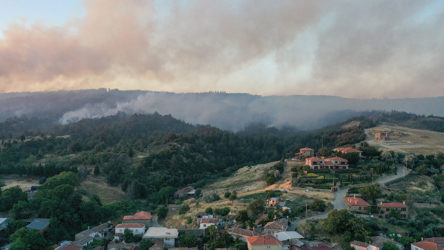 Çanakkale'deki orman yangınında 575 hektarlık alan zarar gördü