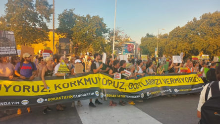 Sokak hayvanları düzenlemesi Kadıköy'de protesto edildi