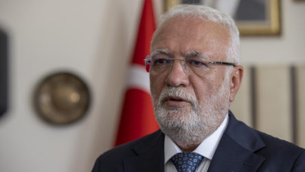 AKP'li Elitaş'tan sokak hayvanları düzenlemesi hakkında açıklama