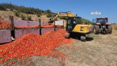 30 ton domatesi elinde kalan çiftçi mahsulünü yola döktü