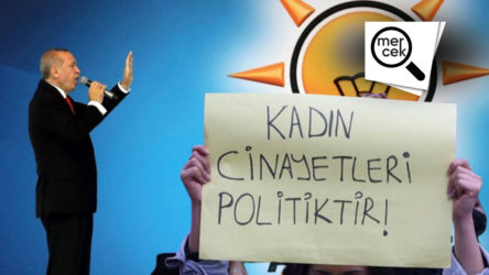 Kadın cinayetleri ve şiddetin gölgesinde 22 yıl