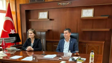 Van Bahçesaray belediyesine kayyum atandı!