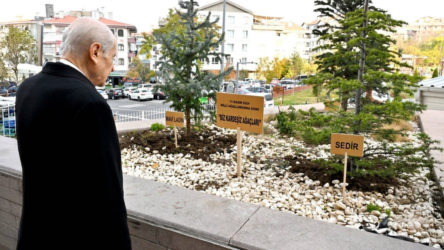 Bahçeli'den 1 Ekim sonrası sürece ilişkin yeni açıklama: 'Biz Kardeşiz Ağaçları' dikti