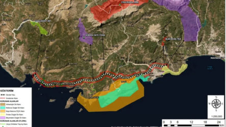Otoyol uğruna sit alanları ve endemik türlerin tahrip edilmesine tepki: Yaşamı ve doğayı bıçak gibi kesecek
