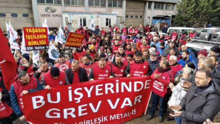 Gebze Chinatool'da 130'u kadın 183 işçi grevde