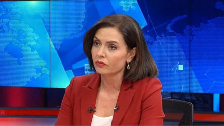 Özlem Gürses'in ev hapsi cezası kaldırıldı