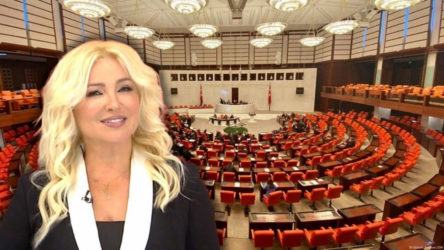 Zahide Yetiş'in Meclis'te kadına yönelik şiddetle ilgili sunum yapmasına tepki