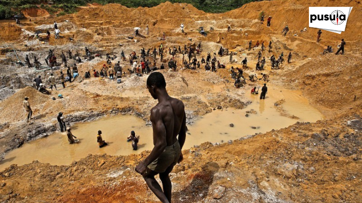 Afrika’nın “Yeşil” Sömürüsü