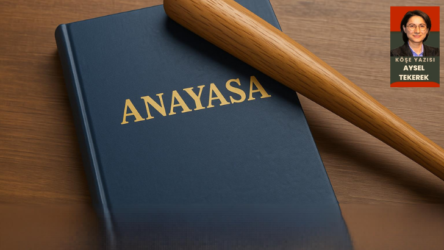 Süreç ve Anayasa