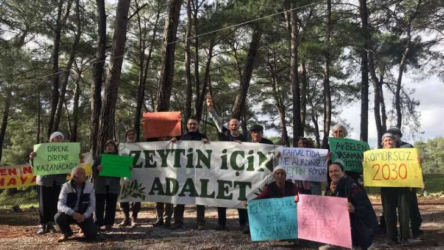 Zeytinlik talanını da içeren torba yasanın ilk 18 maddesi kabul edildi