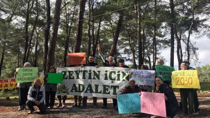 Zeytinlik talanını da içeren torba yasanın ilk 18 maddesi kabul edildi