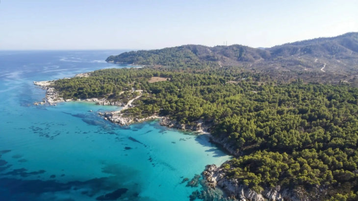 Kuşadası'nda özel şirkete devredilen 'Milli Park' yangın tehdidi altında