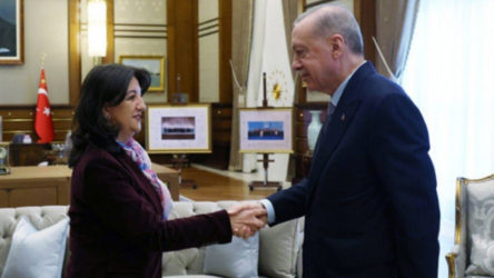 DEM Parti'nin İmralı Heyeti, Erdoğan ile görüşecek