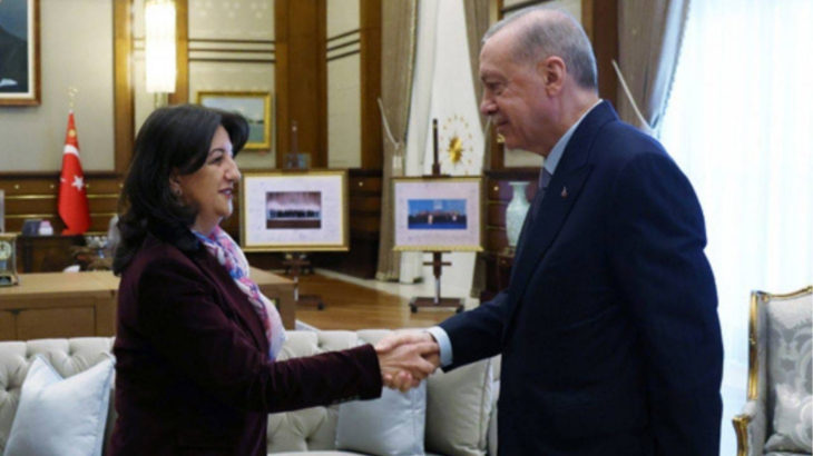 DEM Parti'nin İmralı Heyeti, Erdoğan ile görüşecek