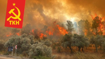 TKH'den orman yangınlarıyla ilgili suç duyurusu: Açgözlü patronlar ve ülke kaynaklarını peşkeş çeken AKP!